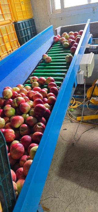 최병만님의 복숭아 · 영농일지 작성글 사진