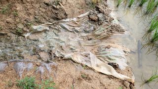 불광이면불급님의 기타작물 · 영농일지 작성글 사진