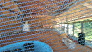 촌사리님의 기타작물 · 영농일지 작성글 사진