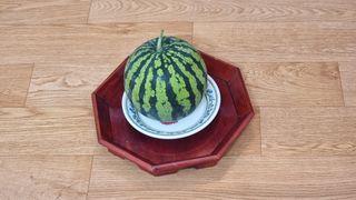 촌사리님의 기타작물 · 영농일지 작성글 사진