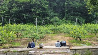 kkk님의 기타작물 · 영농일지 작성글 사진