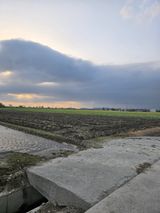 팜모닝 기타작물·영농일지 게시글 이미지