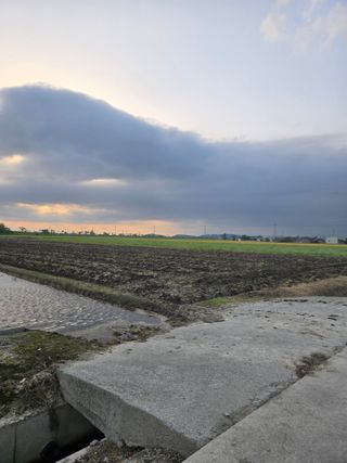 사랑의 전령사❤순우님의 기타작물 · 영농일지 작성글 사진
