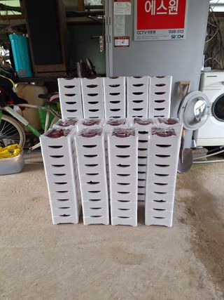 박수천님의 딸기 · 영농일지 작성글 사진