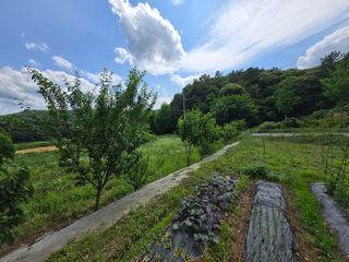 강호지인님의 기타작물 · 영농일지 작성글 사진