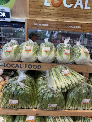 김영완님의 양배추 · 영농일지 작성글 사진