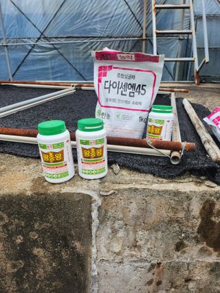 제주온님의 귤 · 영농일지 작성글 사진