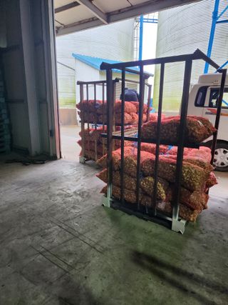 박정석님의 마늘 · 영농일지 작성글 사진