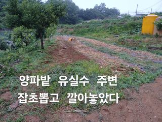 안승호님의 콩 · 영농일지 작성글 사진