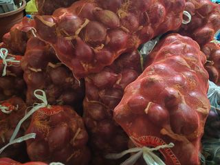 김세리님의 양파 · 영농일지 작성글 사진