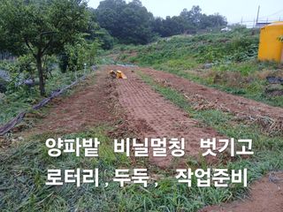 안승호님의 콩 · 영농일지 작성글 사진
