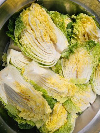 연모 자연의행복님의 매실 · 영농일지 작성글 사진