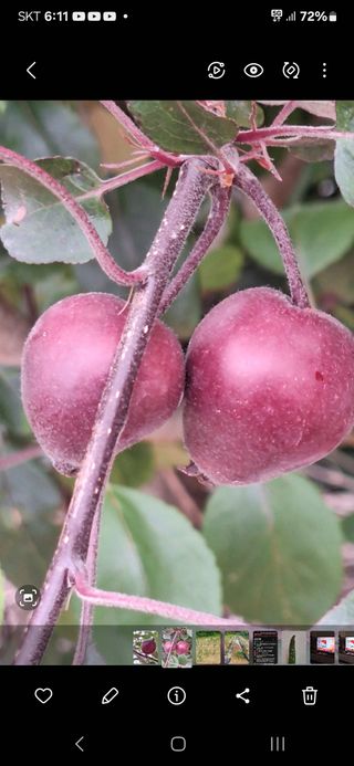 딸기16468님의 기타작물 · 영농일지 작성글 사진