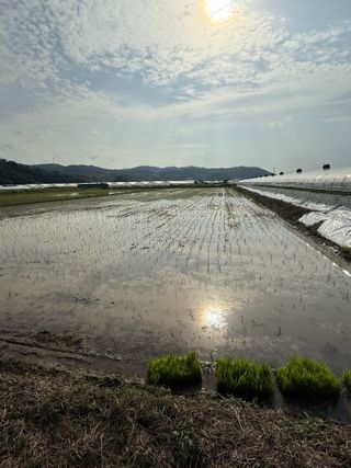정조연님의 기타작물 · 영농일지 작성글 사진