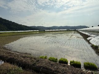 정조연님의 기타작물 · 영농일지 작성글 사진