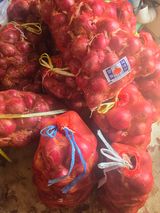 팜모닝 양파·영농일지 게시글 이미지