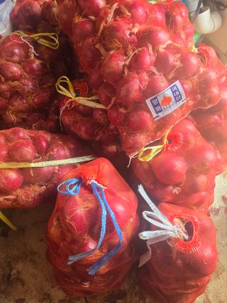 김세리님의 양파 · 영농일지 작성글 사진