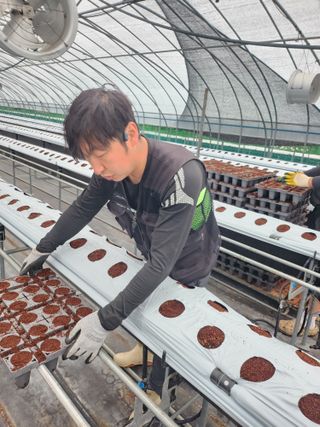 님의 딸기 · 영농일지 작성글 사진