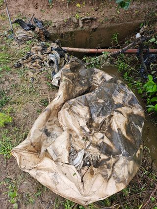 태이린팜님의 옥수수 · 영농일지 작성글 사진