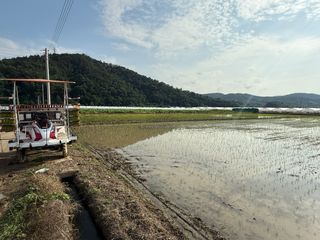 정조연님의 기타작물 · 영농일지 작성글 사진