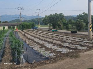 최갑수 님의 기타작물 · 영농일지 작성글 사진