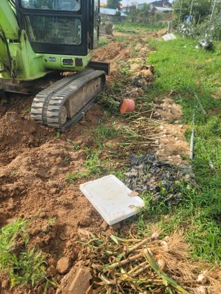 황금알대박농원!님의 마늘 · 영농일지 작성글 사진