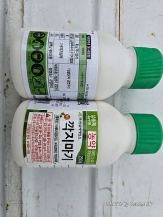 모래알님의 귤 · 영농일지 작성글 사진