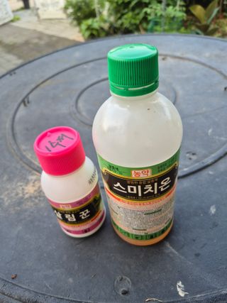 허민성님의 배 · 영농일지 작성글 사진