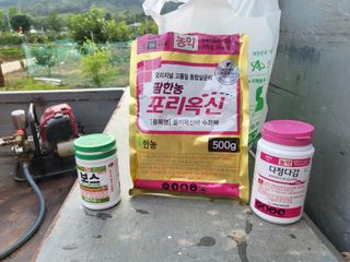 태추단감님의 감 · 영농일지 작성글 사진