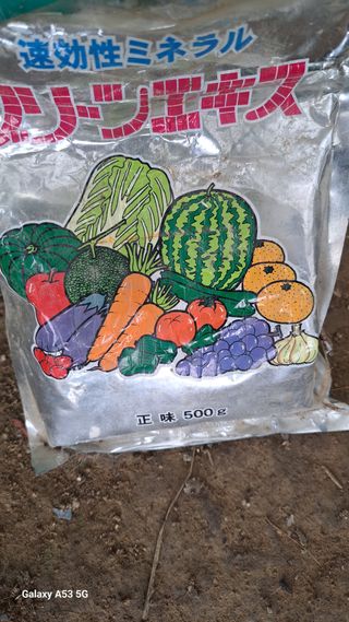 조연만님의 기타작물 · 영농일지 작성글 사진