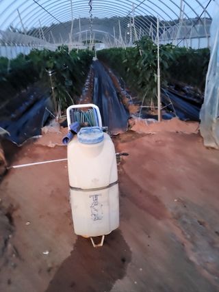 최유순님의 기타작물 · 영농일지 작성글 사진