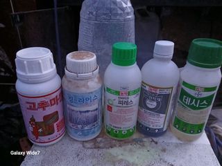바위돌님의 작성글 사진