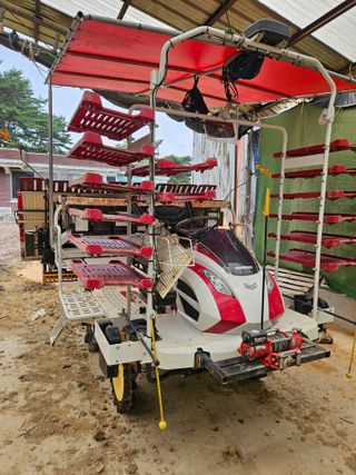 하이론님의 벼 · 영농일지 작성글 사진