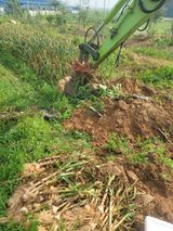 팜모닝 마늘·영농일지 게시글 이미지