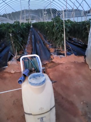 최유순님의 기타작물 · 영농일지 작성글 사진