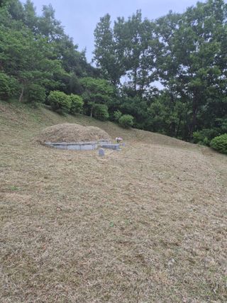 시골농부뜨돌이님의 기타작물 · 영농일지 작성글 사진