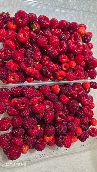 이종선님의 기타작물 · 영농일지 작성글 사진