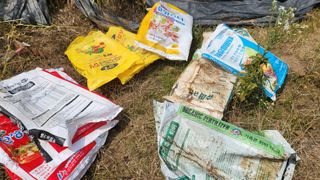 불광이면불급님의 마늘 · 영농일지 작성글 사진