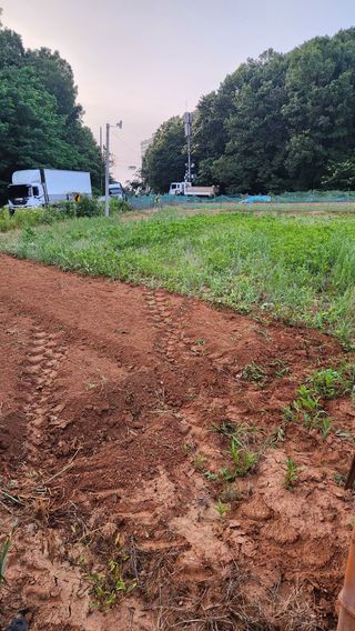 봉담고추님의 마늘 · 영농일지 작성글 사진