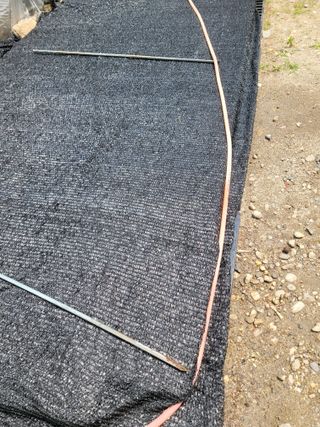 신상범님의 들깨 · 영농일지 작성글 사진