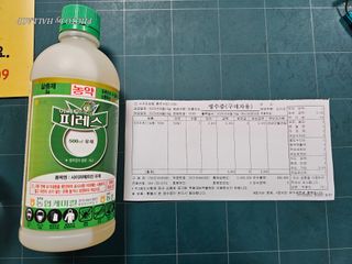 모래알님의 귤 · 영농일지 작성글 사진