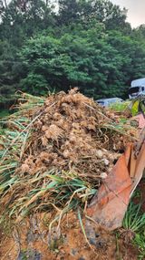 팜모닝 마늘·영농일지 게시글 이미지