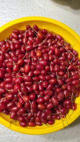 팜모닝 기타작물·영농일지 게시글 이미지