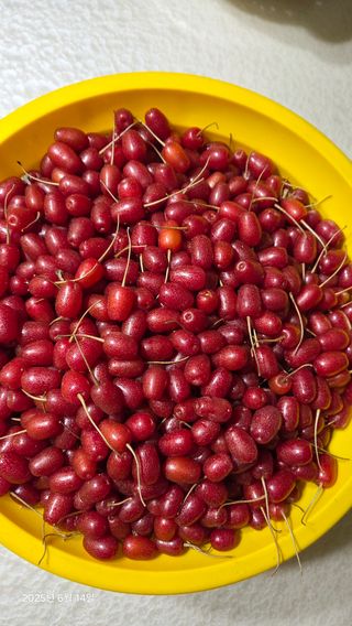 이종선님의 기타작물 · 영농일지 작성글 사진