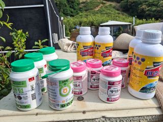 The농원님의 감 · 영농일지 작성글 사진