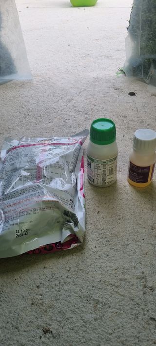 김은희님의 사과 · 영농일지 작성글 사진