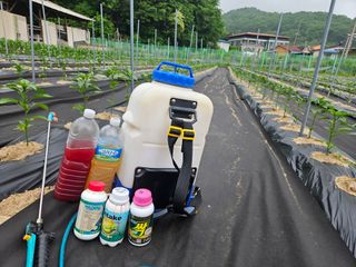 경달현님의 고추 · 영농일지 작성글 사진