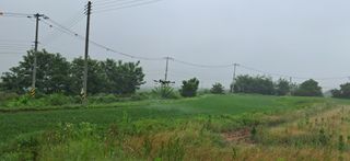 이복길님의 벼 · 영농일지 작성글 사진