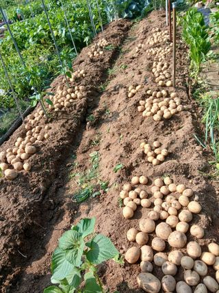 사과18677님의 기타작물 · 영농일지 작성글 사진