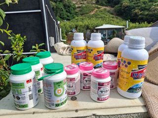 The농원님의 감 · 영농일지 작성글 사진